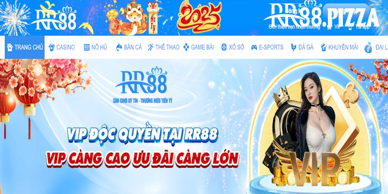 trần cao trí đi cùng thành công rr88